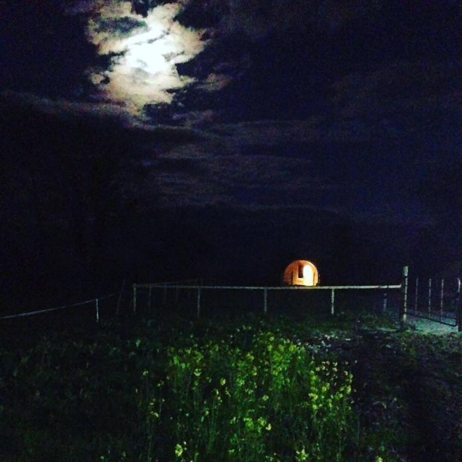 Carrigeen Glamping Kilkenny Exteriér fotografie
