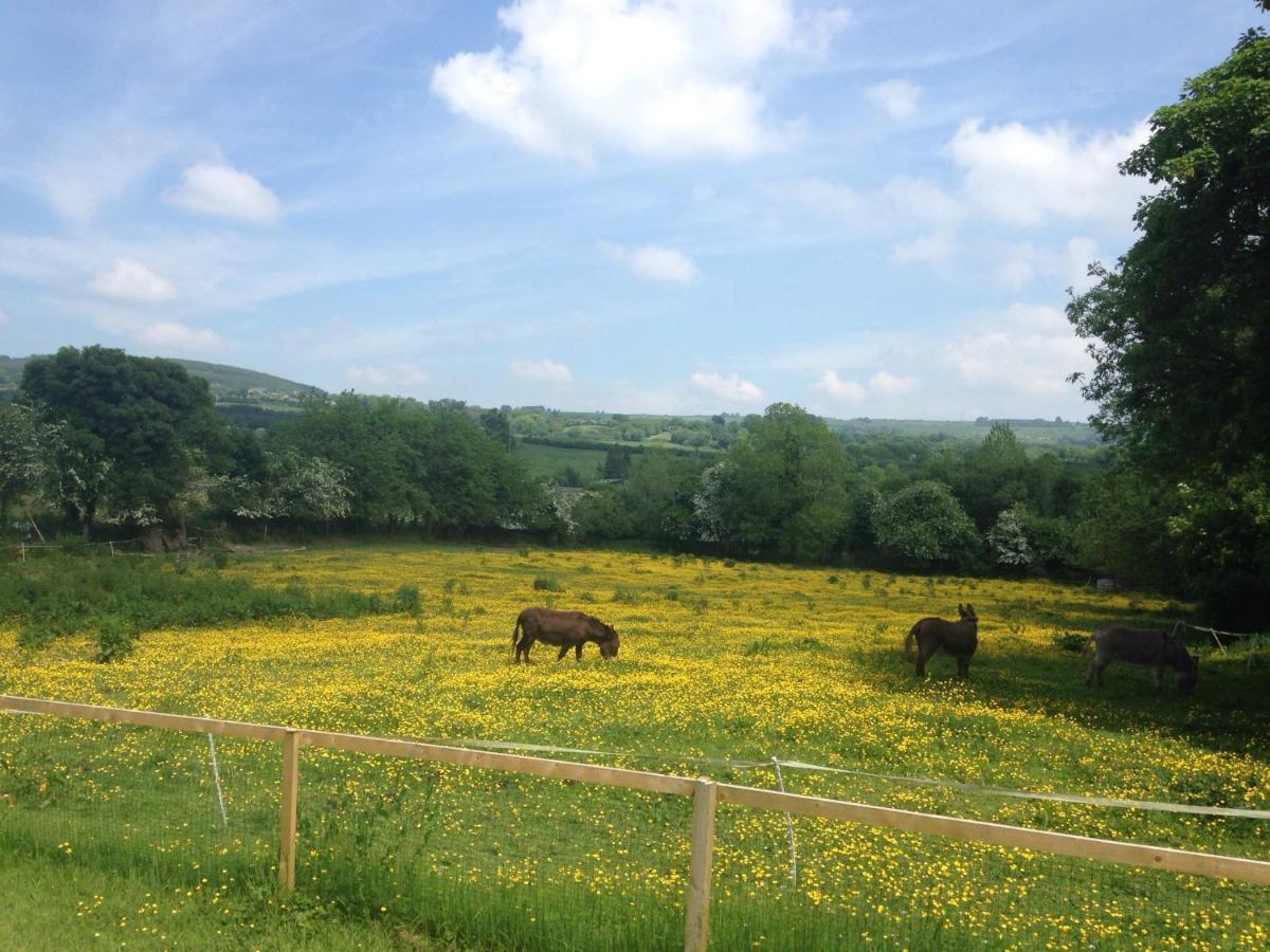 Carrigeen Glamping Kilkenny Exteriér fotografie